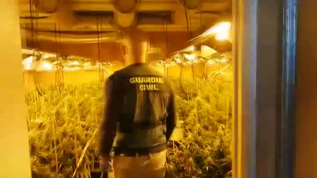 De refrigerar plantas de marihuana a acondicionar aulas de escolares en Cádiz