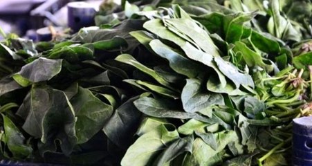 İstanbul Tarım ve Orman Müdürü Karaca'dan "ıspanak" açıklaması: Ispanakta sağlığa aykırı hiçbir şey bulunmadı