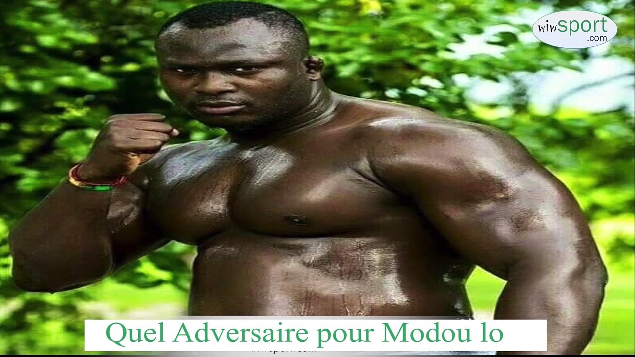 Quel Adversaire pour Modou LO roi des arènes