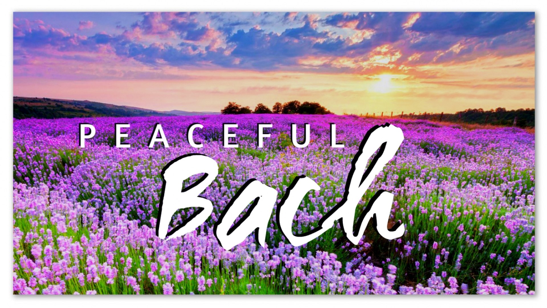 Peaceful Bach - The Best Piano Solo - Vidéo Dailymotion