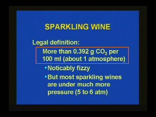 Winemaking 3