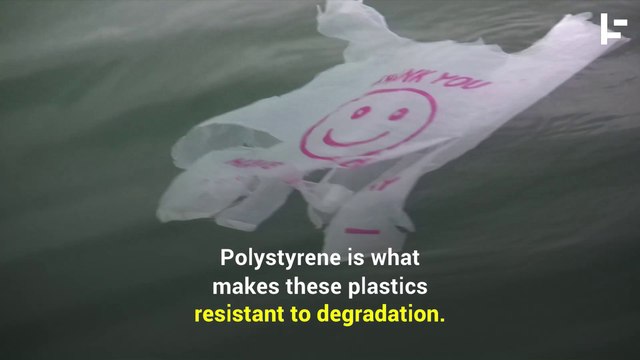 Scientists Have Discovered a Plastic-Eating Bacteria