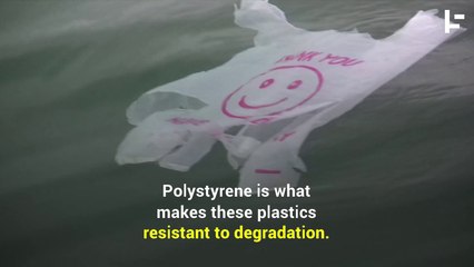 Scientists Have Discovered a Plastic-Eating Bacteria