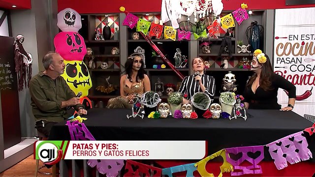 Patas y pies | Perros y gatos felices - Nex Panamá