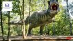It Seems There Were Too Many Meat-Eating Dinosaurs – This May Be the Explanation