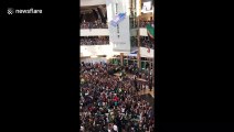 Springboks arrive back in South Africa to hero's welcome at Johannesburg airport