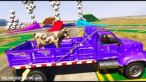 Learn animal with spiderman cartoon - Learn number with cars and trucks