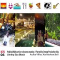 Helping Parties to become amazing at Abaca Villa Sabbha Bali with Jimmy Sax Black - Planned by Orange Producion Asia