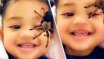 Stormi Laughs At Kylie Jenner Scaring Her With Spiders In New Video