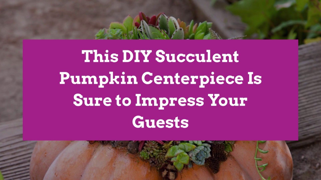 This DIY Succulent Pumpkin Centerpiece Is Sure to Impress Your Guests
