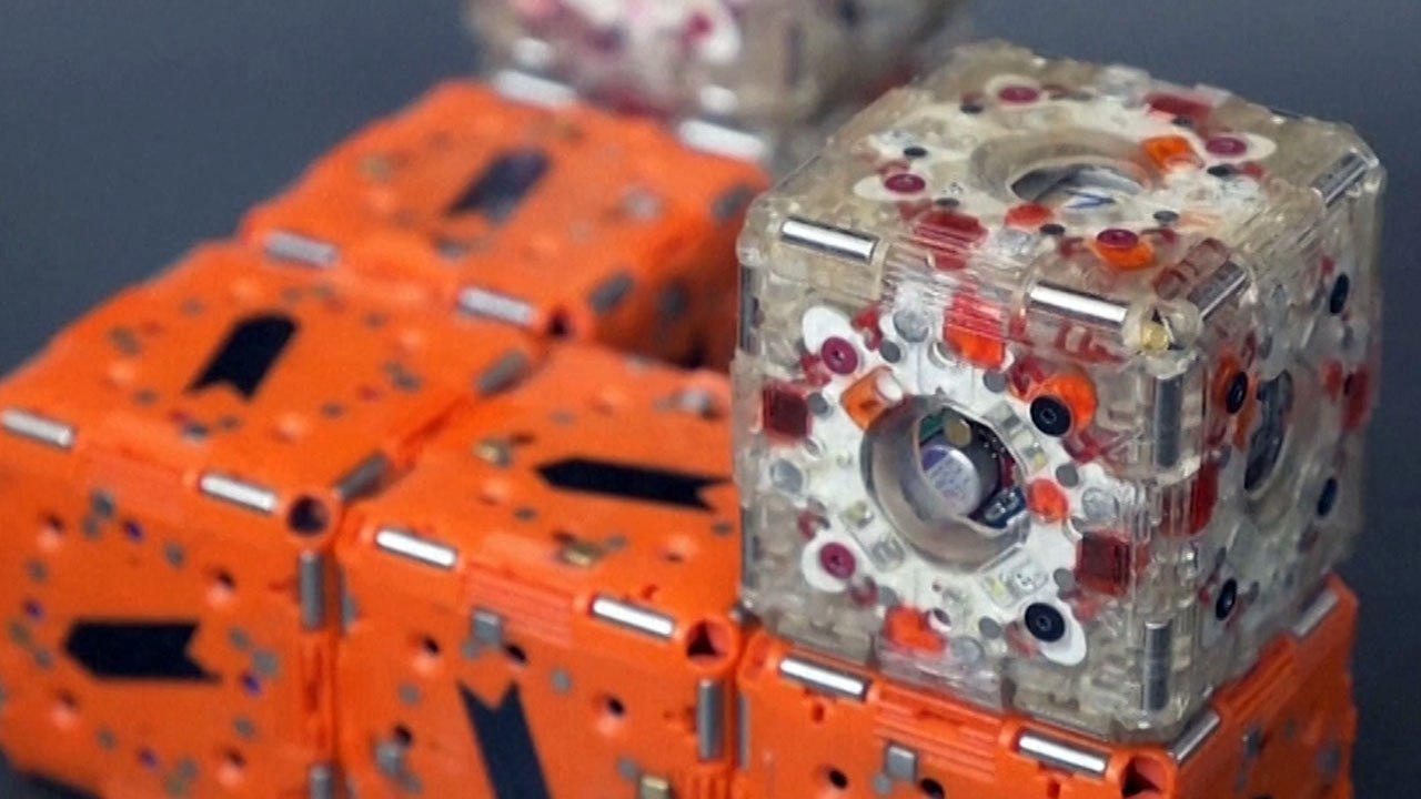 These Robots Are The New Wave