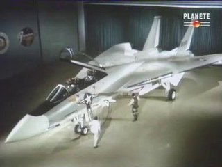 Les Ailes De Légende - F14 Tomcat