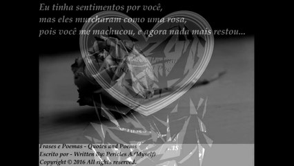 Eu tinha sentimentos por você como uma rosa, você me machucou... [Frases e Poemas]
