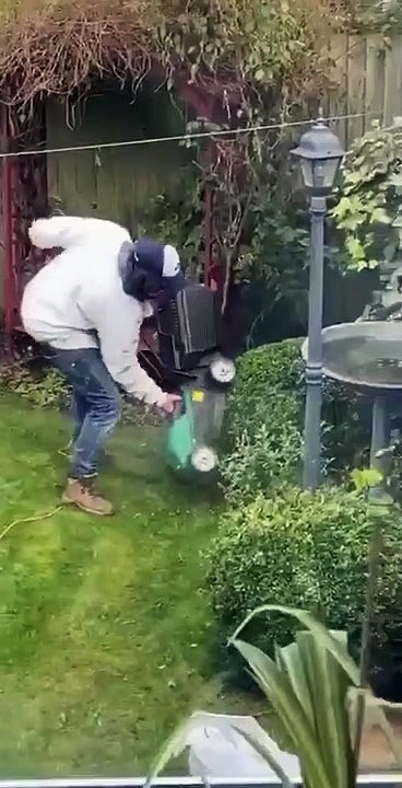 Voici une drôle de façon de tailler les buissons