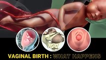 Giving Birth Labor Delivery Pain - Giving Birth Labor Delivery Pain...