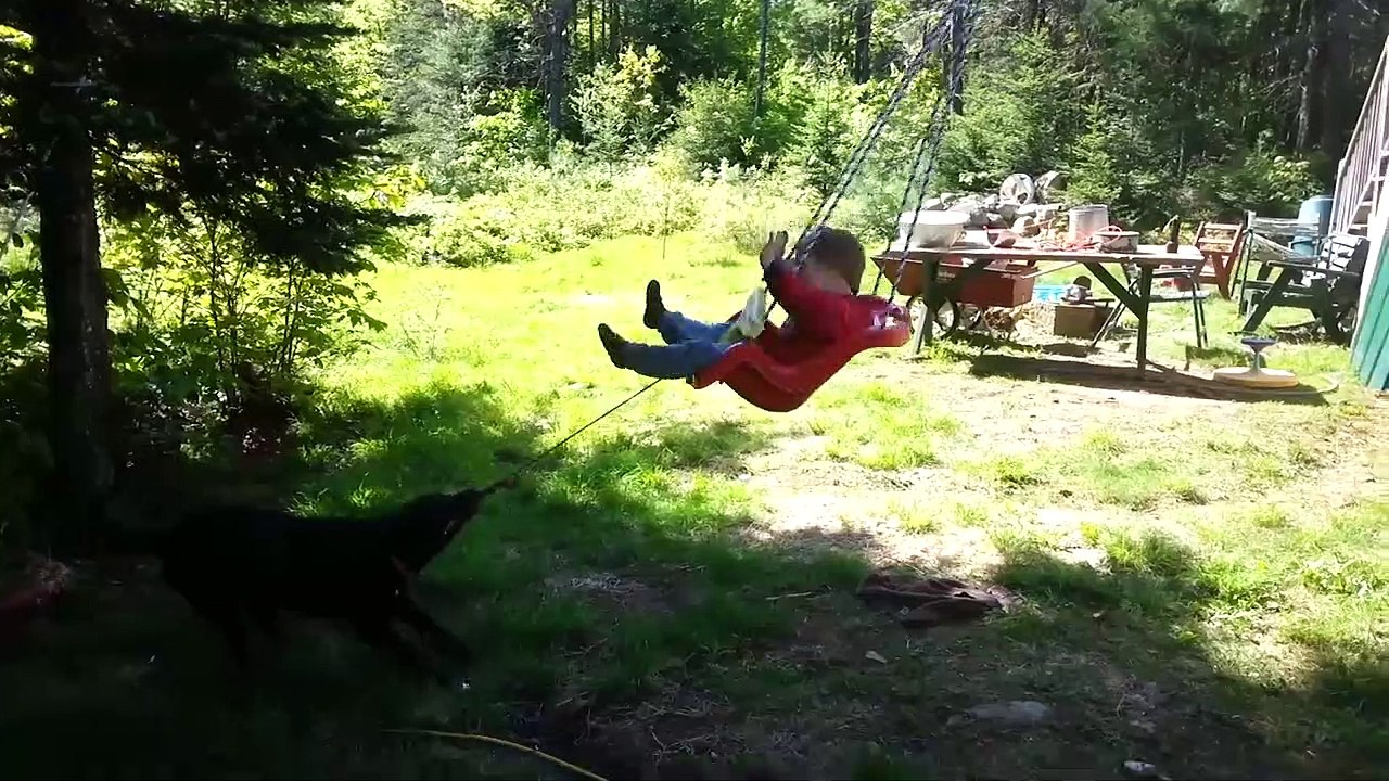 TRY NOT TO LAUGH - Funny BABIES and ANIMALS Compilation | Funny Vines August 2018