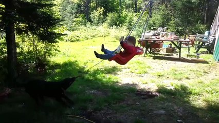 TRY NOT TO LAUGH - Funny BABIES and ANIMALS Compilation | Funny Vines August 2018