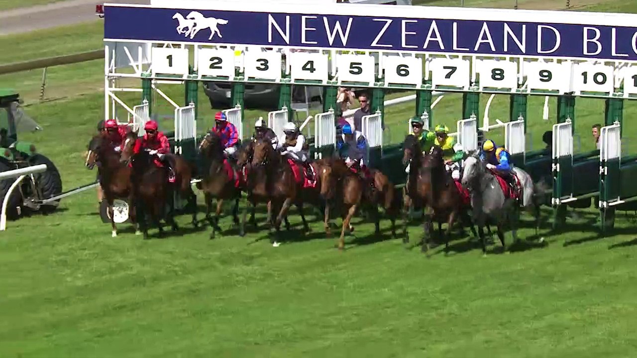 2019 OMF Stakes (NZ)