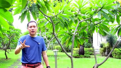 Apakah Anda Adalah Apa Yang Anda Pikirkan