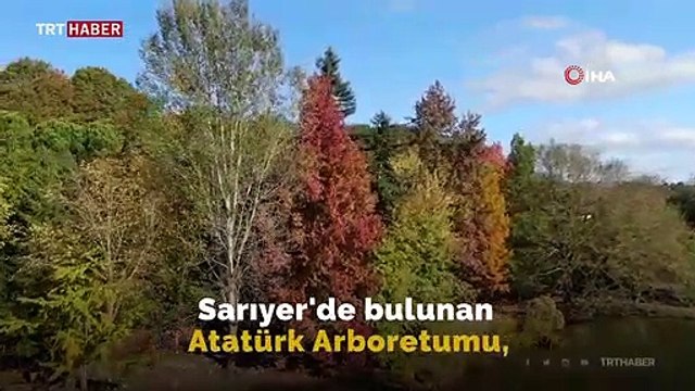 Sonbahar renklerine bürünen Atatürk Arboretumu