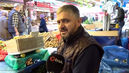 Dev bal kabaklarının minyatürleri büyük rağbet görüyor