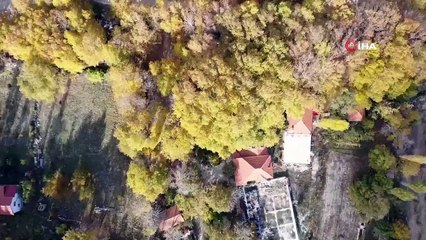 Antalya'da Renklerin Sonbahar Dansı