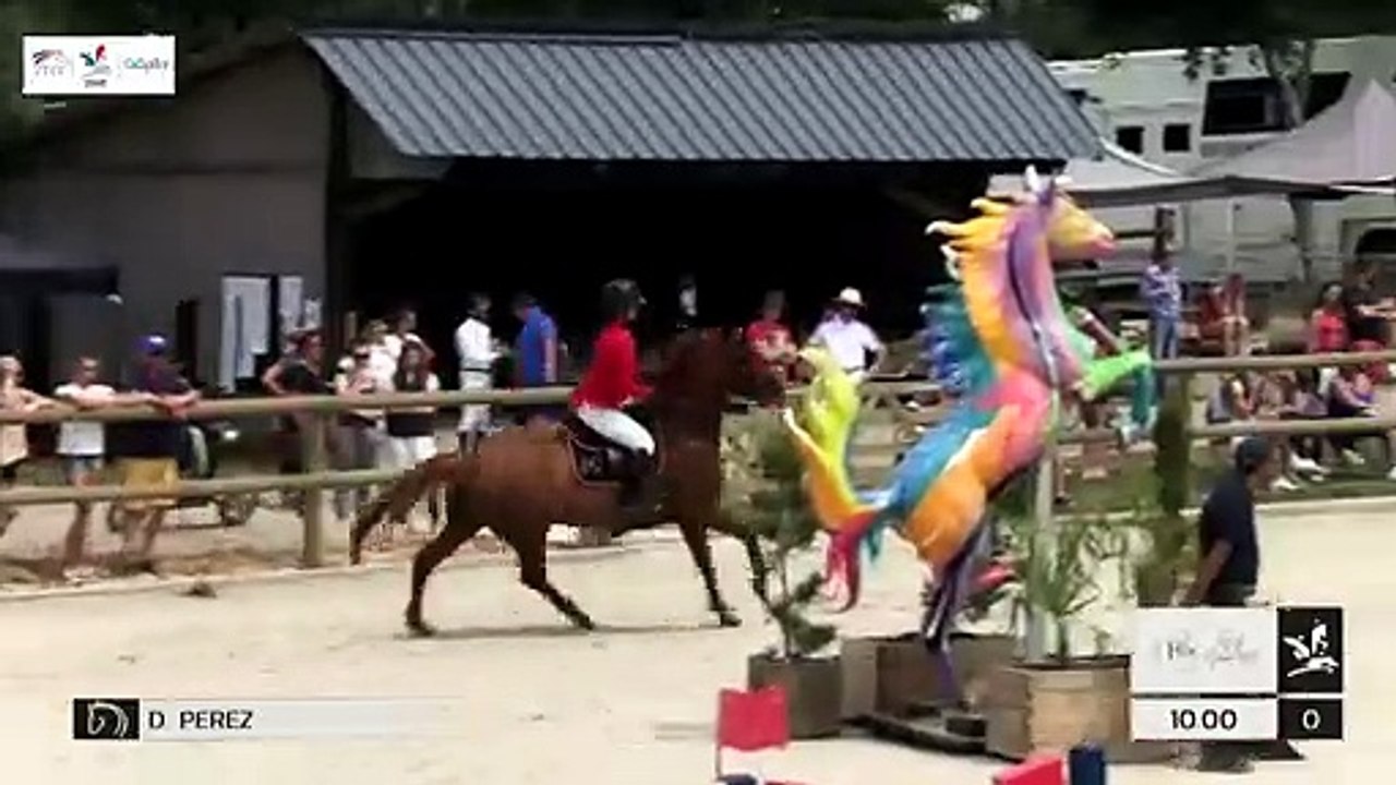 GN2019 | SO_08_Canteleu | Pro Elite Grand Prix (1,50 m) Grand Nat | Delphine PEREZ | UNTOUCHABLE GIPS