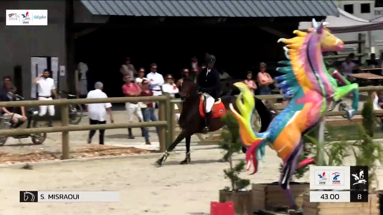 GN2019 | SO_08_Canteleu | Pro Elite Grand Prix (1,50 m) Grand Nat | Sylvain MISRAOUI | ATHINA MAIL