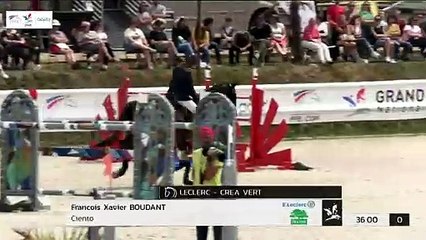 GN2019 | SO_08_Canteleu | Pro Elite Grand Prix (1,50 m) Grand Nat | Francois Xavier BOUDANT | CIENTO