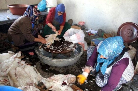 Bölge insanının geçim kaynağı olan kazlar, karın yağması ile kesilmeye başlandı