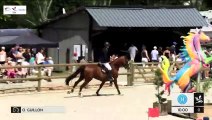 GN2019 | SO_08_Canteleu | Pro Elite Grand Prix (1,50 m) Grand Nat | Olivier GUILLON | TYPE TOP DU MONTEIL