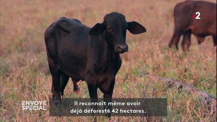 Pourquoi cet éleveur brésilien va continuer à mettre le feu à la forêt amazonienne