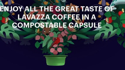 Café : des nouvelles capsules compostables