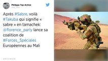 Mali : les Européens lâchent leurs forces spéciales aux trousses des djihadistes