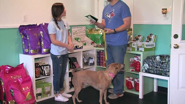 Pet Grooming Montgomery | The Barkly Pet Retreat & Spa