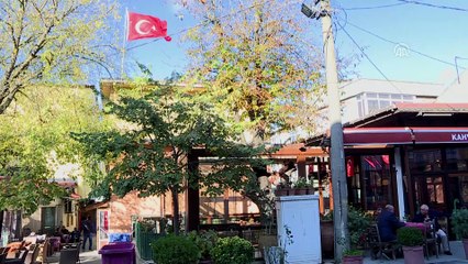 Bu ağaçlar kahvehanelere hayat veriyor - İSTANBUL