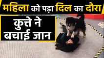 Viral Video में देखिए महिला को पड़ा heart attack, dog ने यूं बचाई जान, Watch video | वनइंड़िया हिंदी
