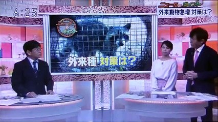 2019 10 08　NHK ほっと ニュース アイヌモシリ【 神聖なる アイヌモシリからの 自由と真実の声】