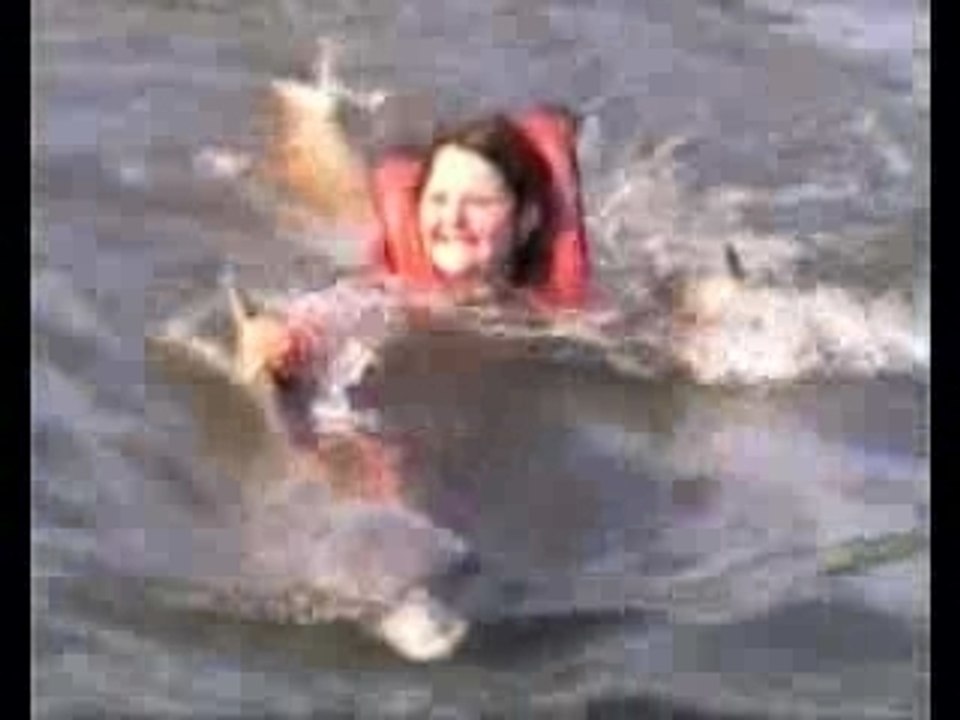 NAGER AVEC LES DAUPHINS ( 1 )