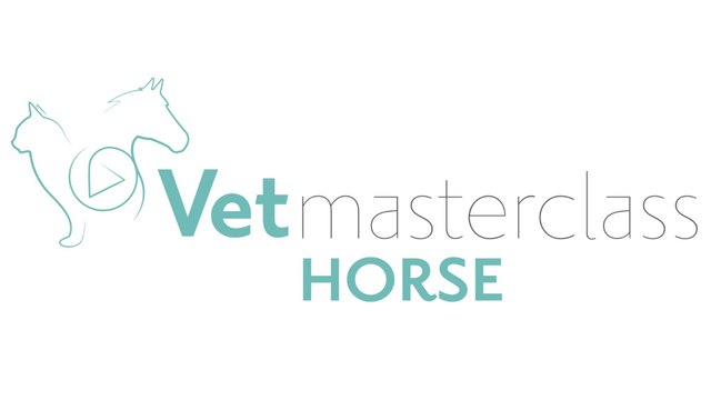 Vetmasterclass - Horse - Médecin
