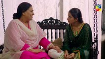 Naqab Zun Episode 25 HUM TV Drama 5 November 2019