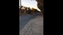 Guy On  Mini Dirt Bike Drinks A Beer And Falls