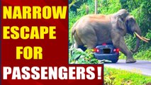 Elephant sits on car, video goes viral  | Oneindia News