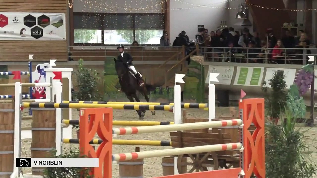 GN2019 | SO_11_Macon | Pro Elite G.P. (1,50 m) Grand Indor | Vanessa NORBLIN | TENDER BRIDE