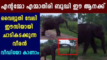 Clever Elephant Took Away The Electric Post | Oneindia Malayalam