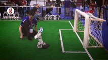 Robot futbolcular 2050'de insanlarla karşılaşacak