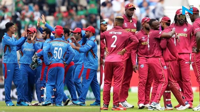 Afghanistan vs West Indies: Afghan fan struggles to find room in Lucknow due to his height