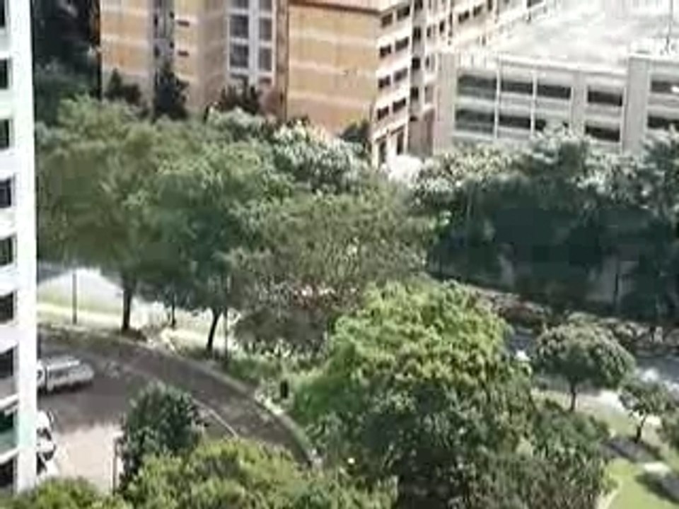 Lunar New Year Lion Dance Troupe 2