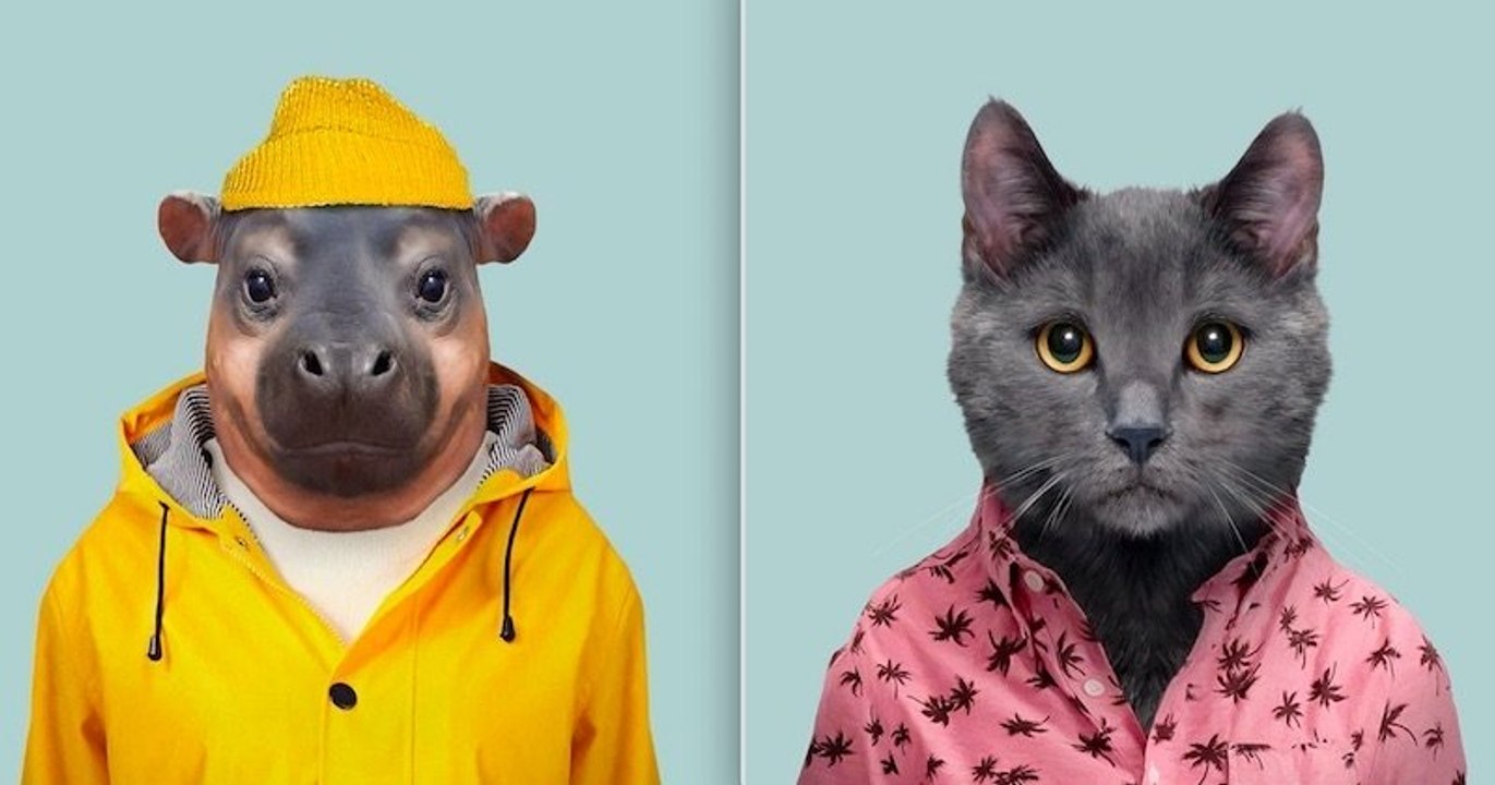 Ce photographe réalise de savoureux montages d'animaux habillés comme des humains