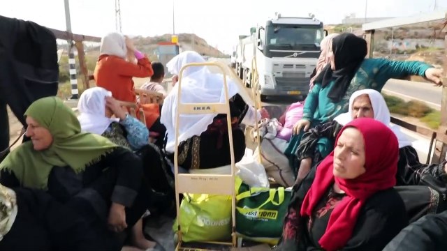 معاناة قطف الزيتون من الحقول الفلسطينية الواقعة وراء الجدار الإسرائيلي